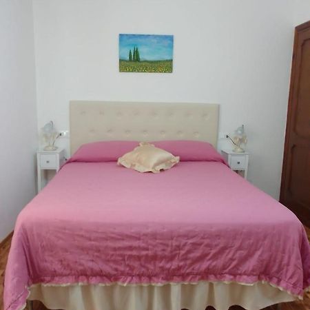Dalla Carla In Toscana Monte San Savino Exteriör bild