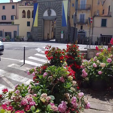 Dalla Carla In Toscana Monte San Savino Exteriör bild