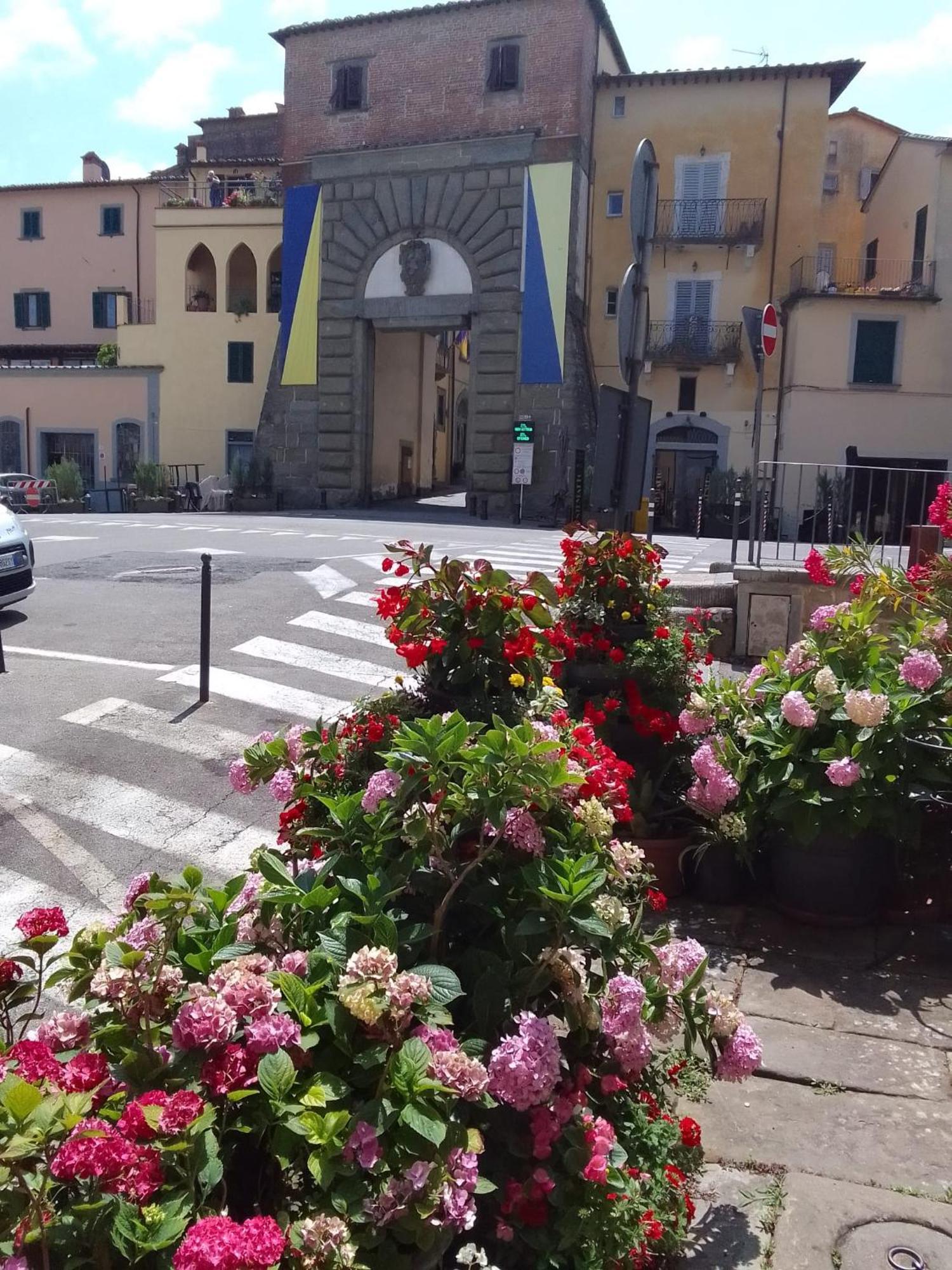 Dalla Carla In Toscana Monte San Savino Exteriör bild